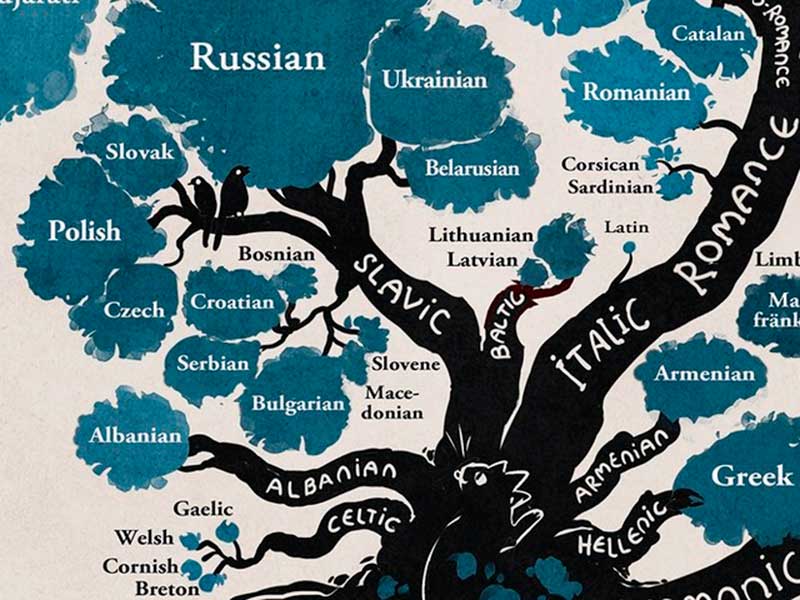 Slavic Languages Russian 100